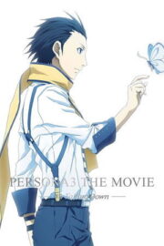 PERSONA 3 THE MOVIE #3 Falling Down