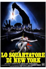 New York Karın Deşeni