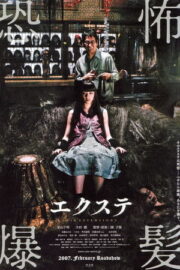 Exte: Hair Extensions